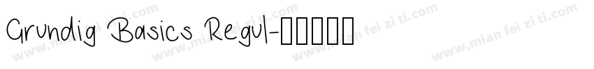 Grundig Basics Regul字体转换